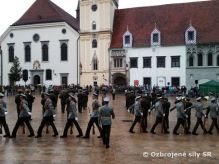 esko-Slovensk posdkov de kultry